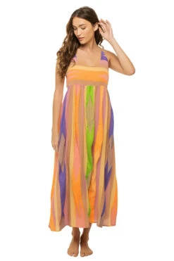 Iaspis Maxi Dress